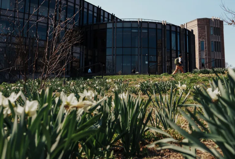 Fifteen members of the primary and secondary faculty at Bursky School of Public Health have been named to lists of the world's top scientists by Research.com. (Photo: Zachary Linhares/Bursky Public Health)