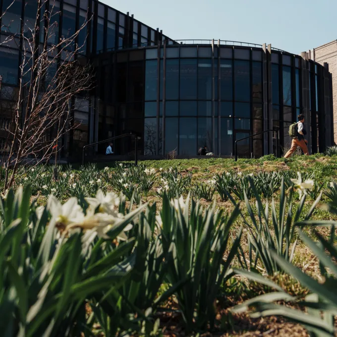 Fifteen members of the primary and secondary faculty at Bursky School of Public Health have been named to lists of the world's top scientists by Research.com. (Photo: Zachary Linhares/Bursky Public Health)